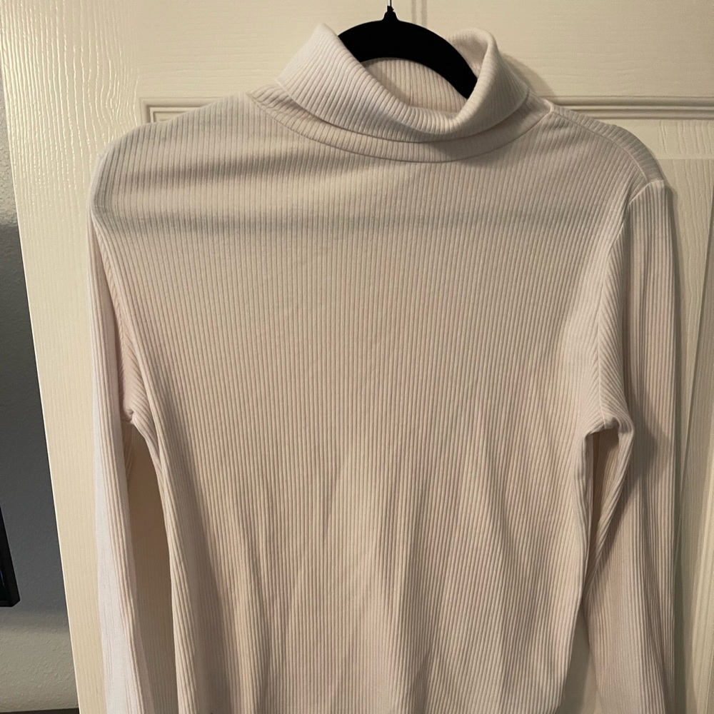 Long sleeve sheer turtle neck